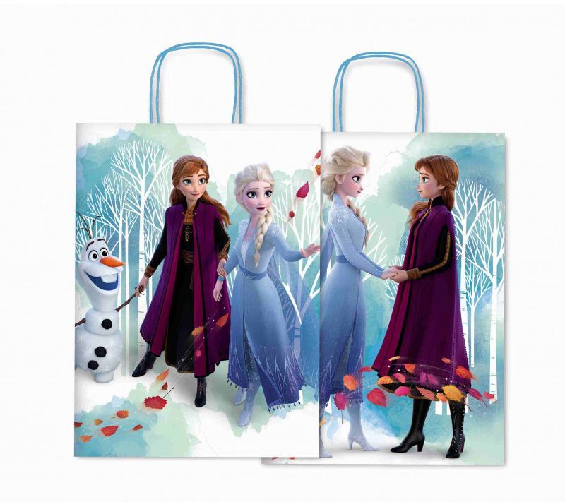 Sadoch Χάρτινη Τσάντα Frozen 36cm (WNA36629D)