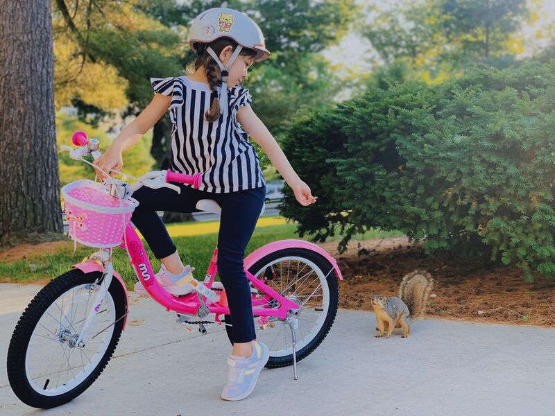 Ποδήλατο 18" Chipmunk MM-Pink (CM18-2/PINK-002020180200) φωτογραφία